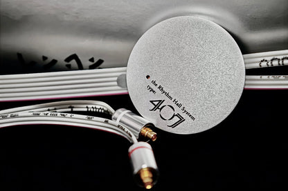Lynx 407